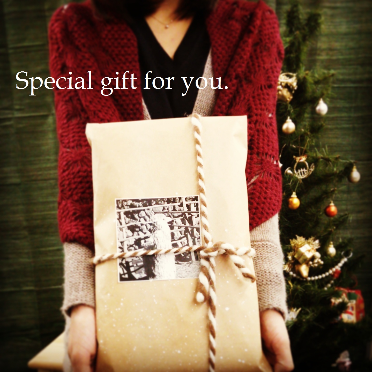 special gift for you