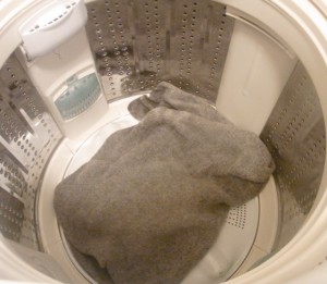 大物洗濯 (11)